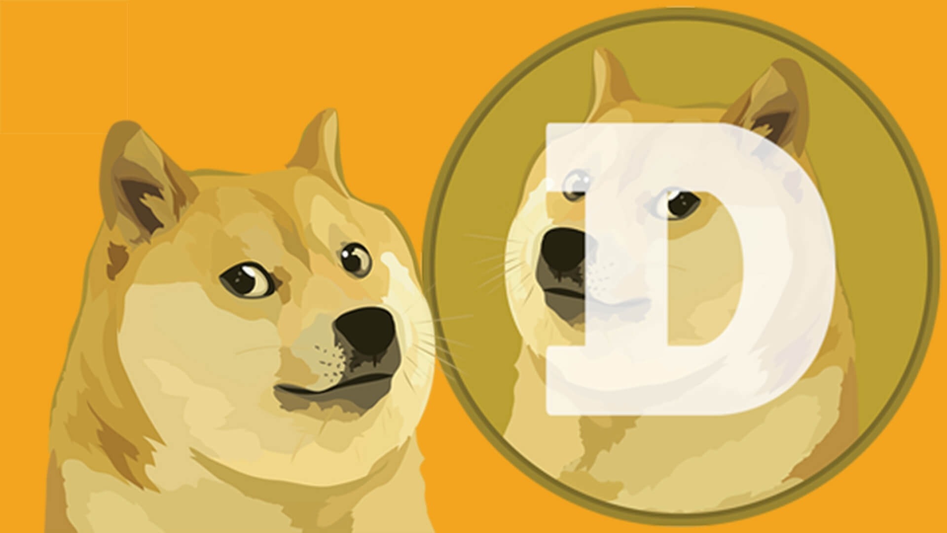 Dogecoin, Will DOGE Coin Grow Like BTC?