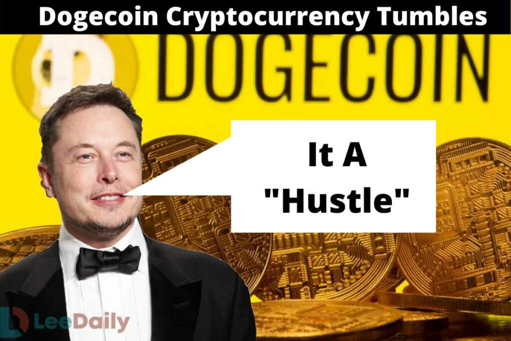 Dogecoin Cryptocurrency Tumbles, Elon Musk , hustle