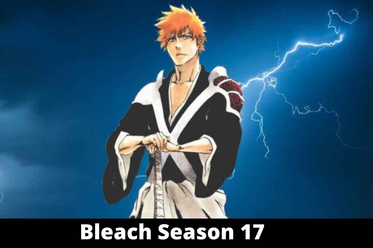 Bleach-Season-17