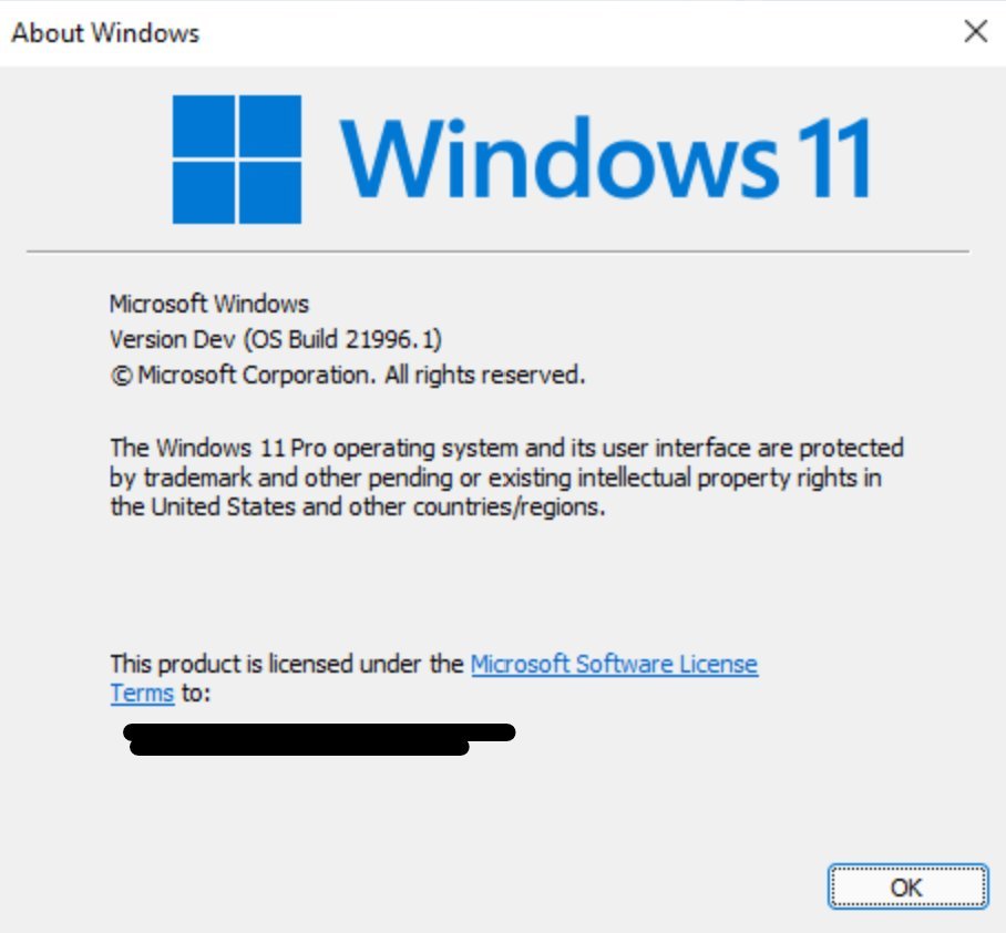 Leaked Windows 11