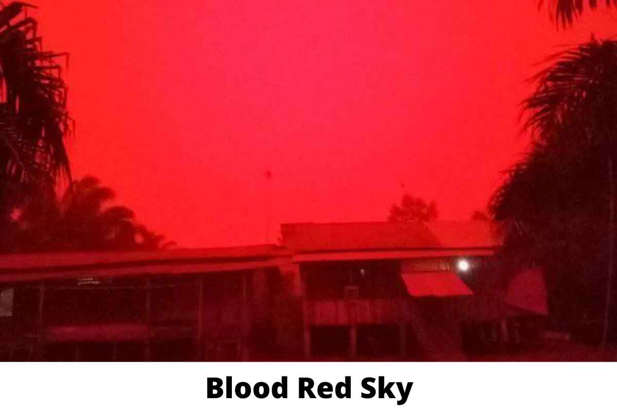 Under blood red sky. Красное небо в Китае 2022. Красное небо 2020.