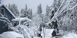 _Snow-in-California's-Sierra-Nevada