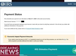 IRS Stimulus Payment