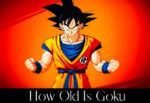 How Old Is Goku