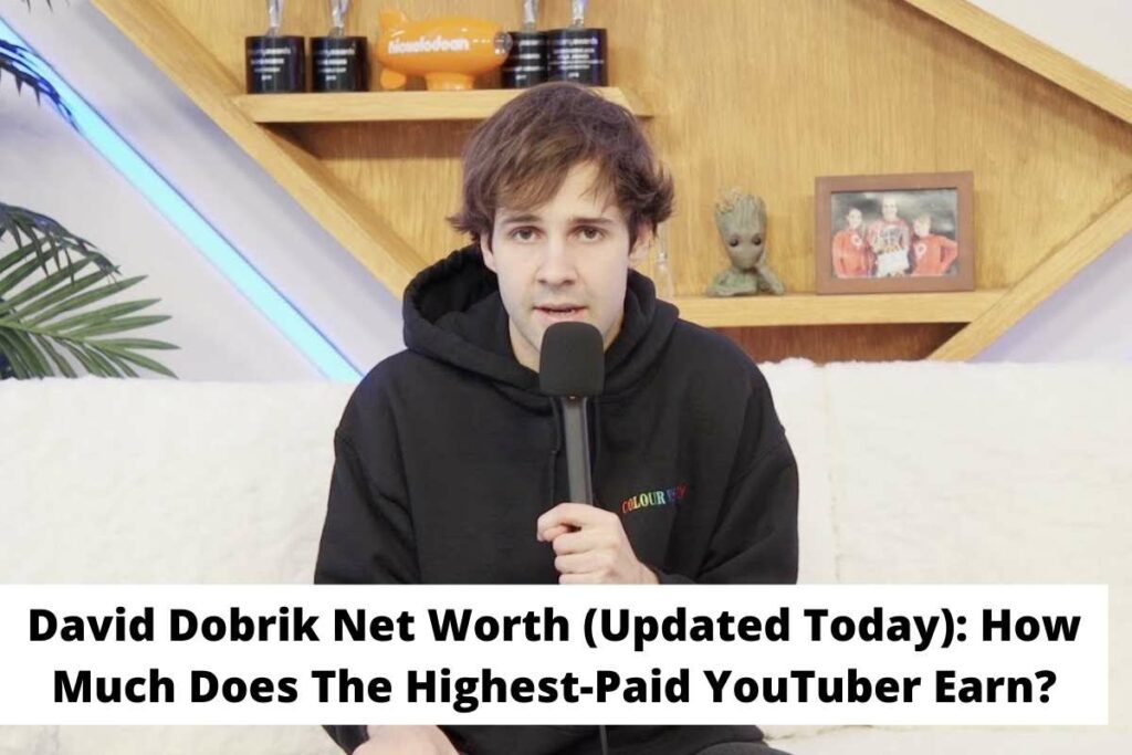 David Dobrik Net Worth (Updated Today) How Much Does The Highest-Paid YouTuber Earn