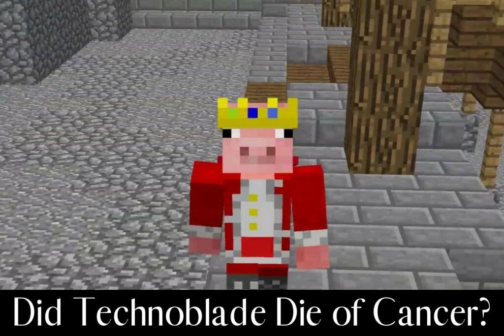 Did Technoblade Die of Cancer