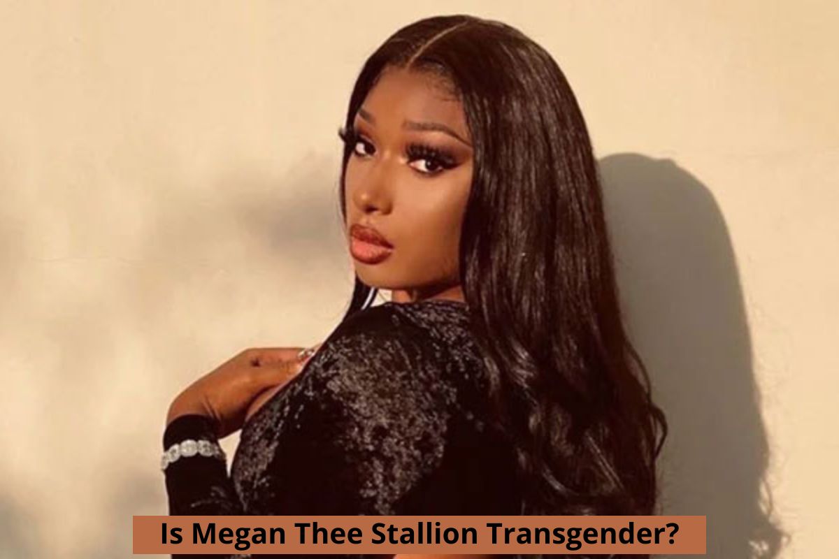 Is Megan Thee Stallion Transgender