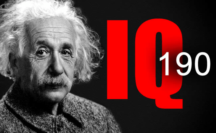 Who Has The Highest IQ In The World?