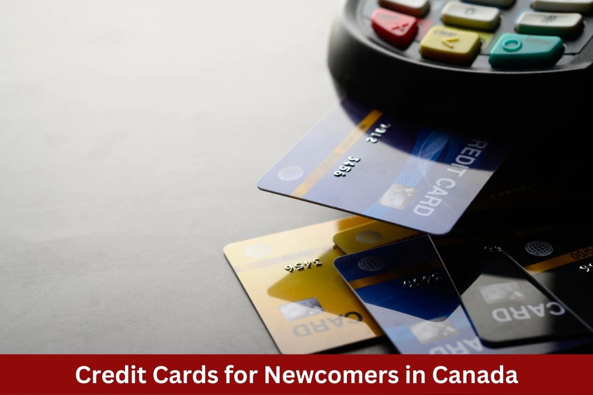 Credit Cards for Newcomers in Canada