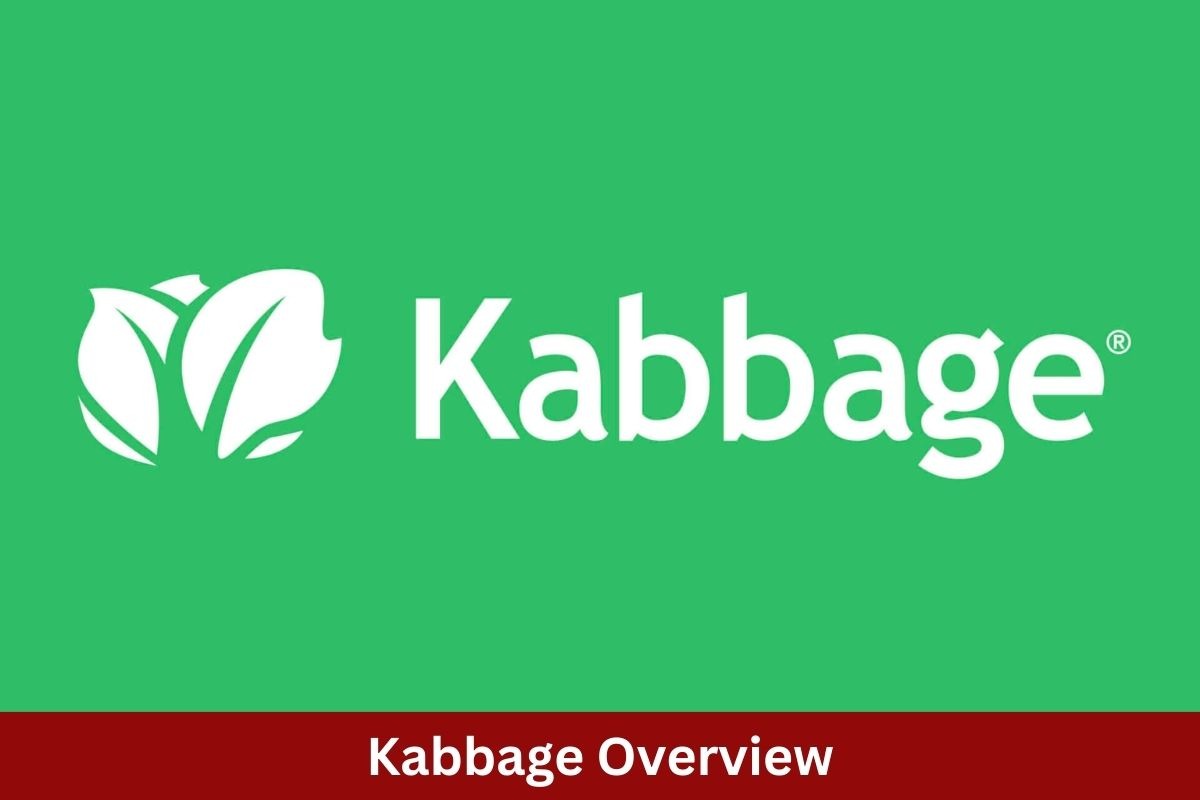 All You Need to Know About Kabbage