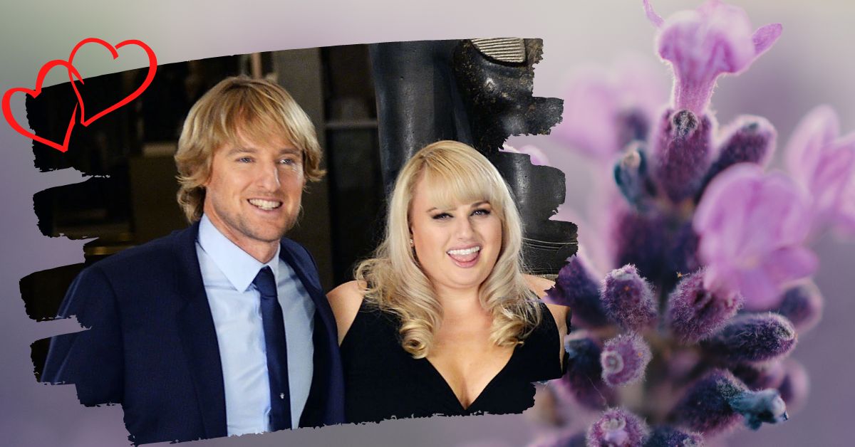 Are Owen Wilson and Rebel Wilson Related