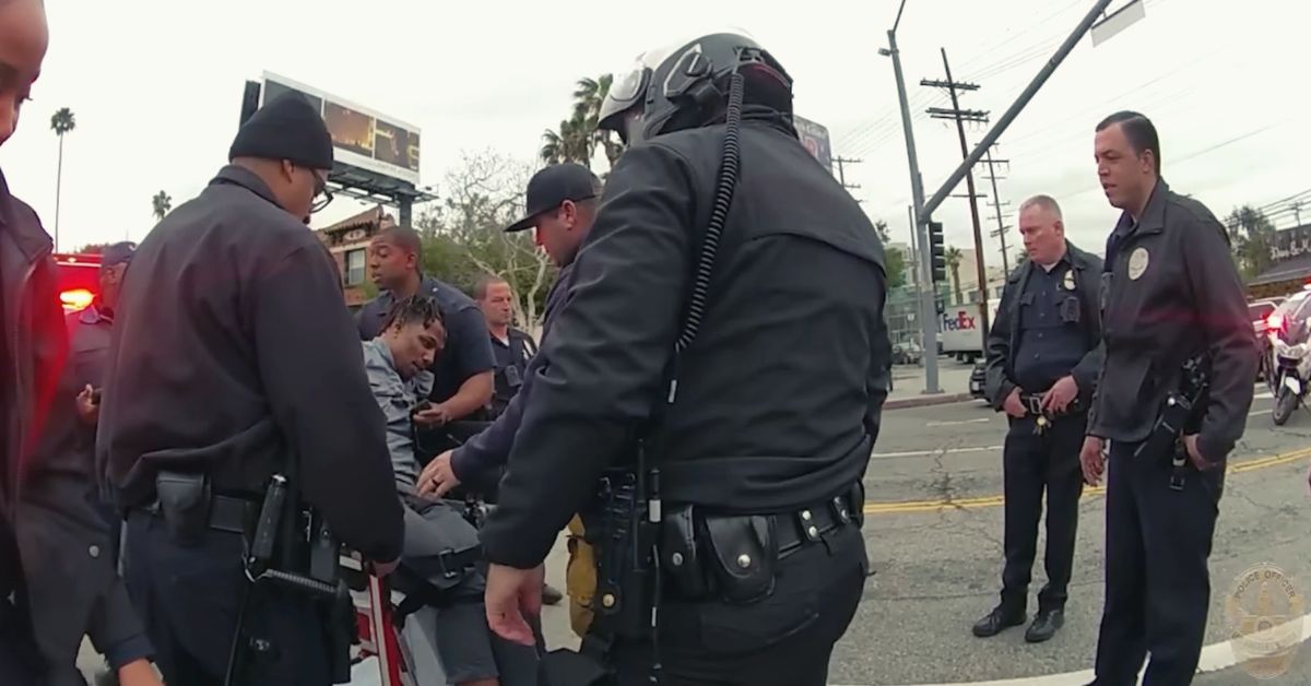 LAPD Tases Relative of Black Lives Matter Founder 