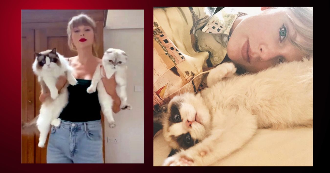 Value of Taylor Swift's Cat is Believed to Be $97 Million