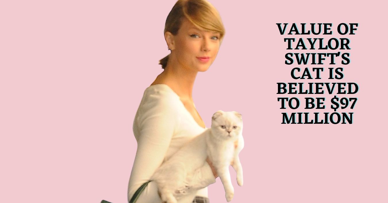 Value of Taylor Swift's Cat is Believed to Be $97 Million