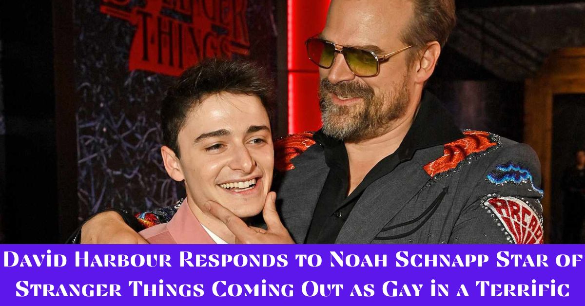 David Harbour Responds to Noah Schnapp Star of Stranger Things Coming Out as Gay in a Terrific