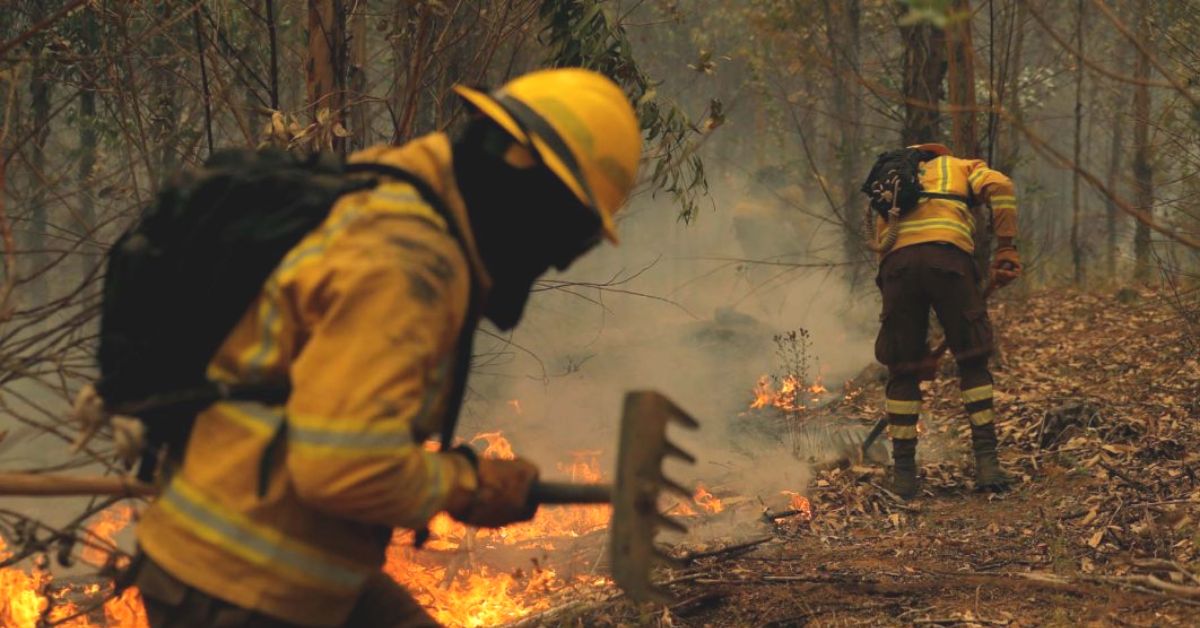 Chilean Forest Fires