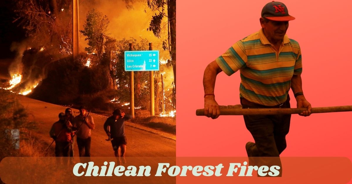 Chilean Forest Fires Have Claimed at Least 23 Lives So Far!