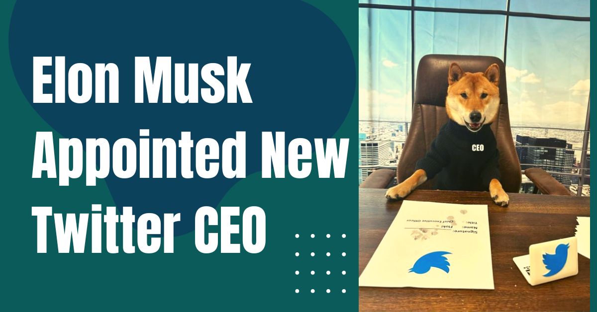 Elon Musk Appointed New Twitter CEO