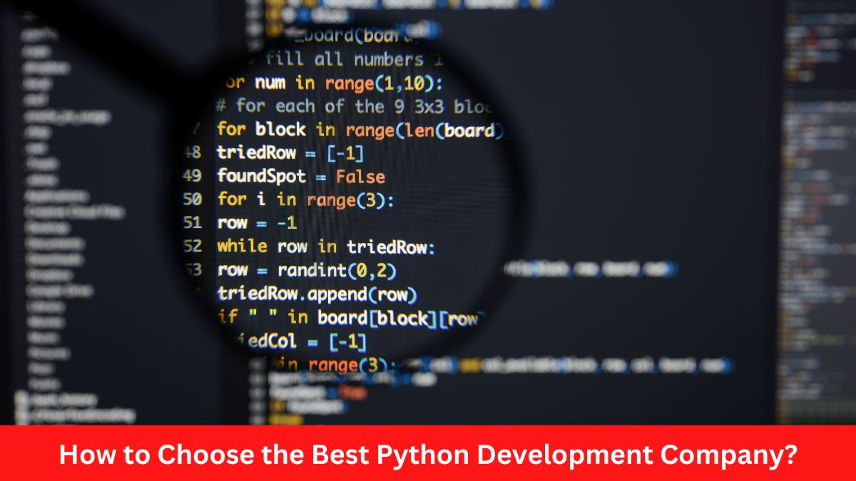 How to Choose the Best Python Development Company?