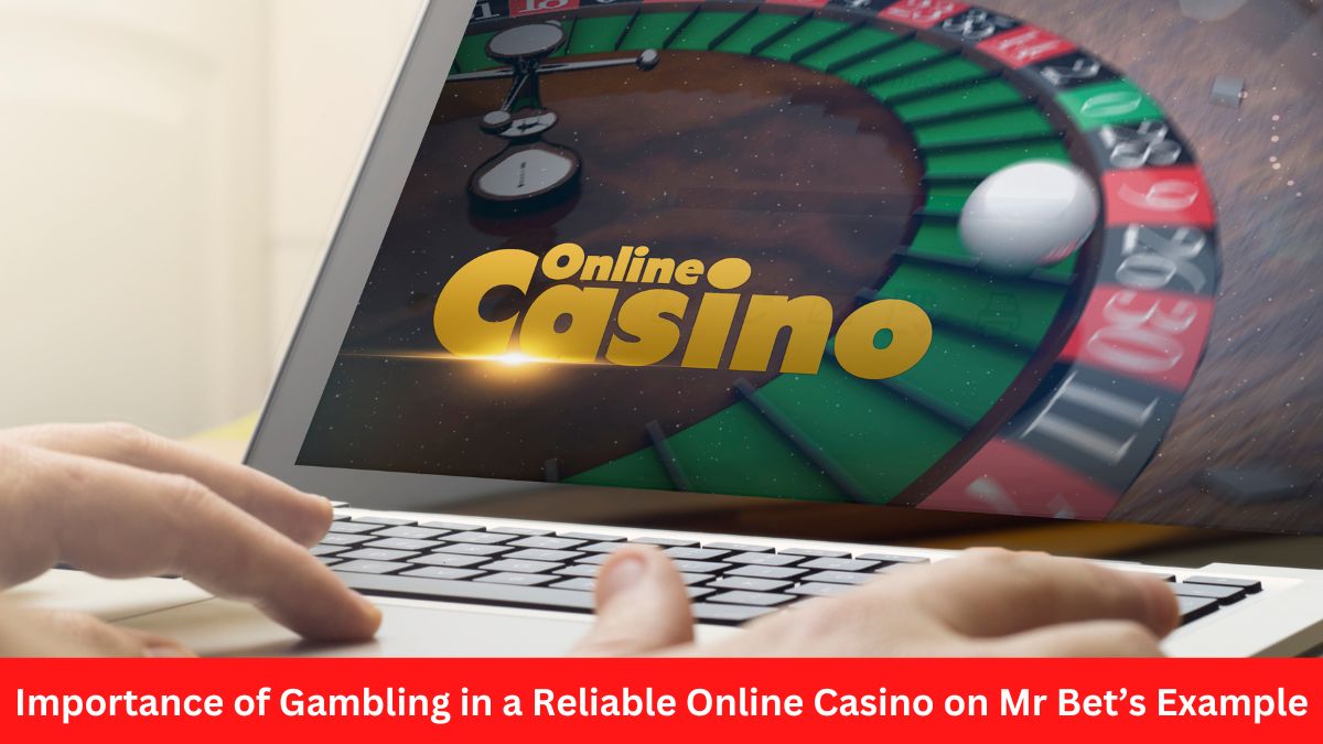 Importance of Gambling in a Reliable Online Casino on Mr Bet’s Example