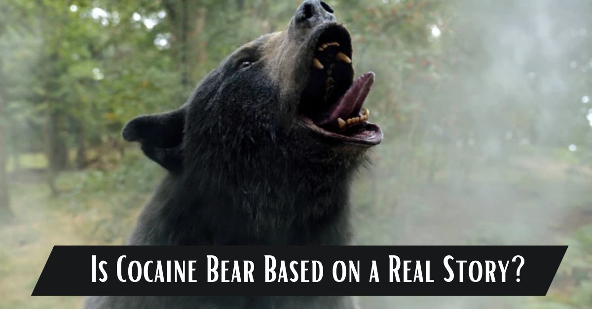 Cocaine Bear Based on a Real Story