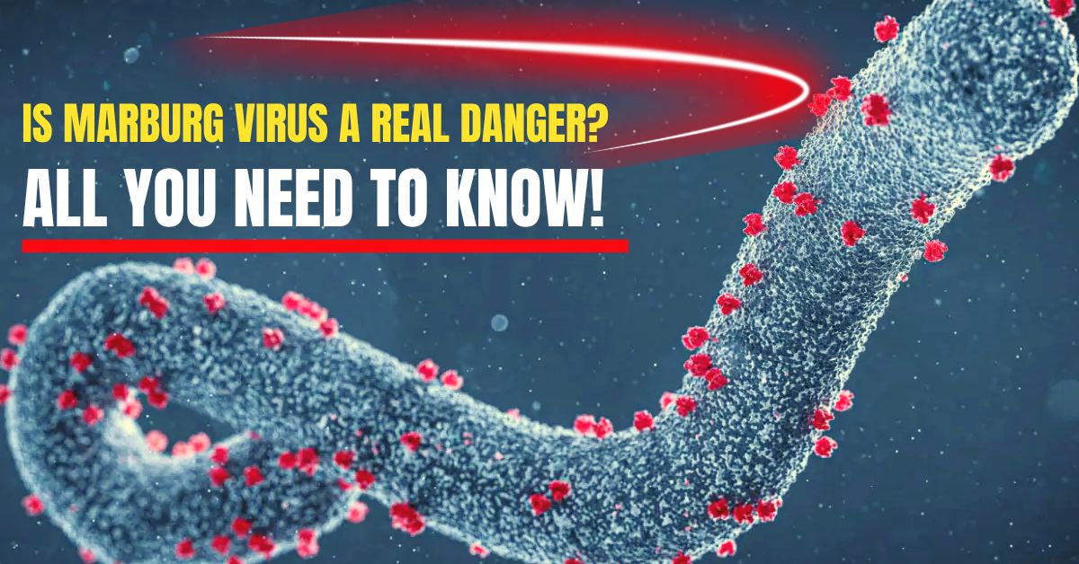 Is Marburg Virus a Real Danger? All You Need To Know!