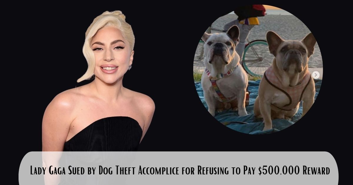 Lady Gaga Sued by Dog Theft Accomplice for