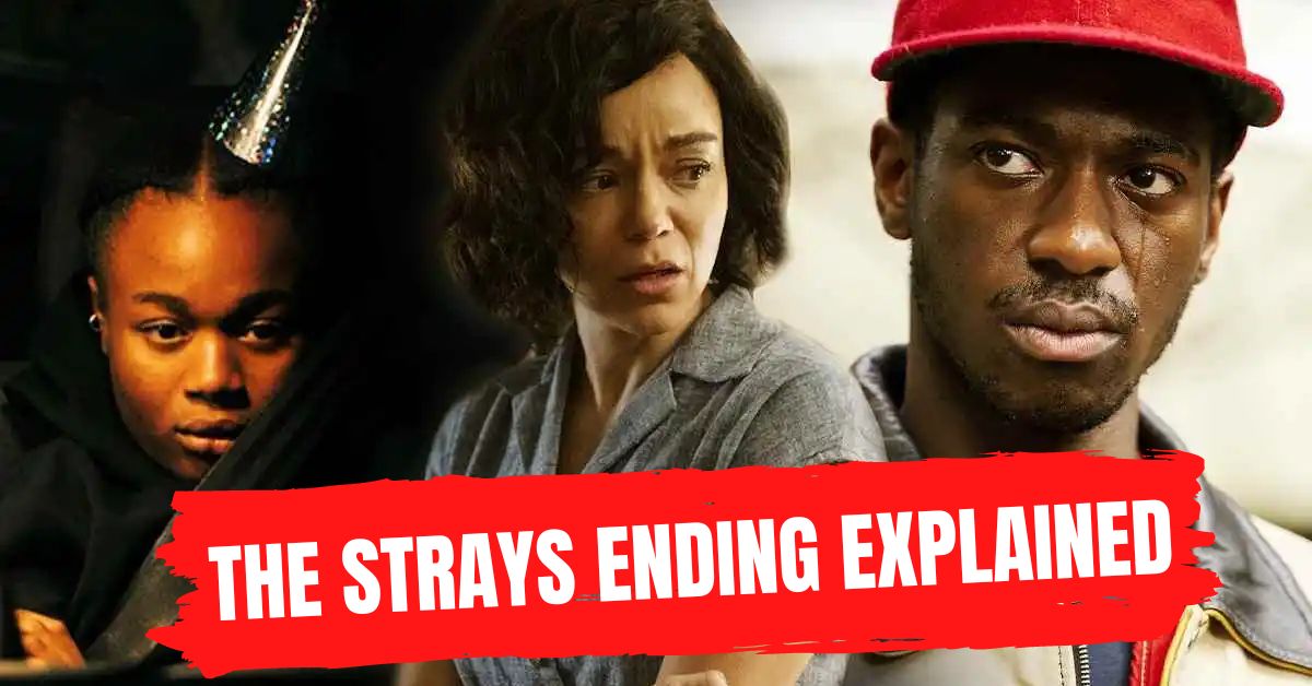 The Strays Ending Explained