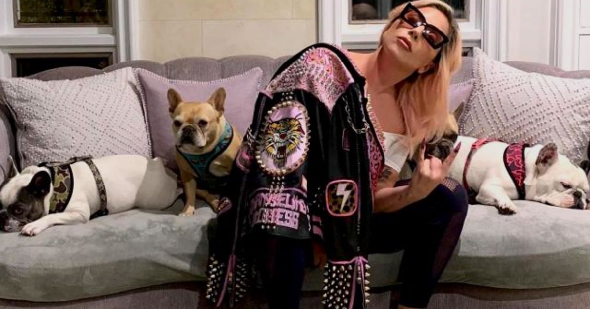 Lady Gaga Sued by Dog Theft Accomplice