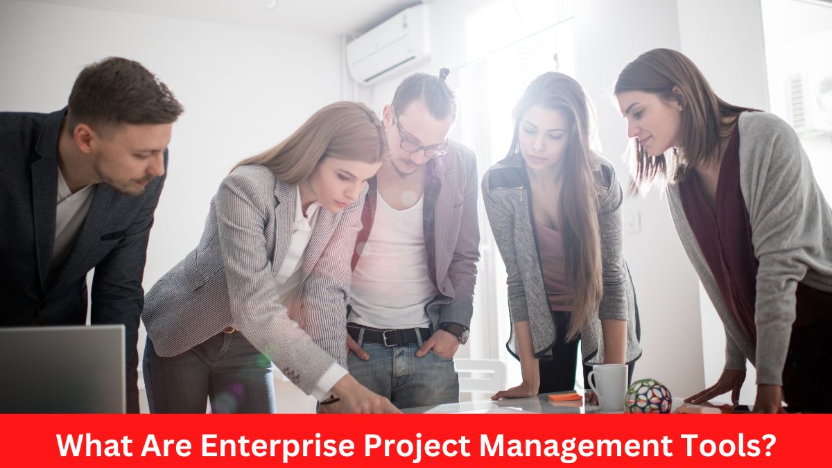 What Are Enterprise Project Management Tools?