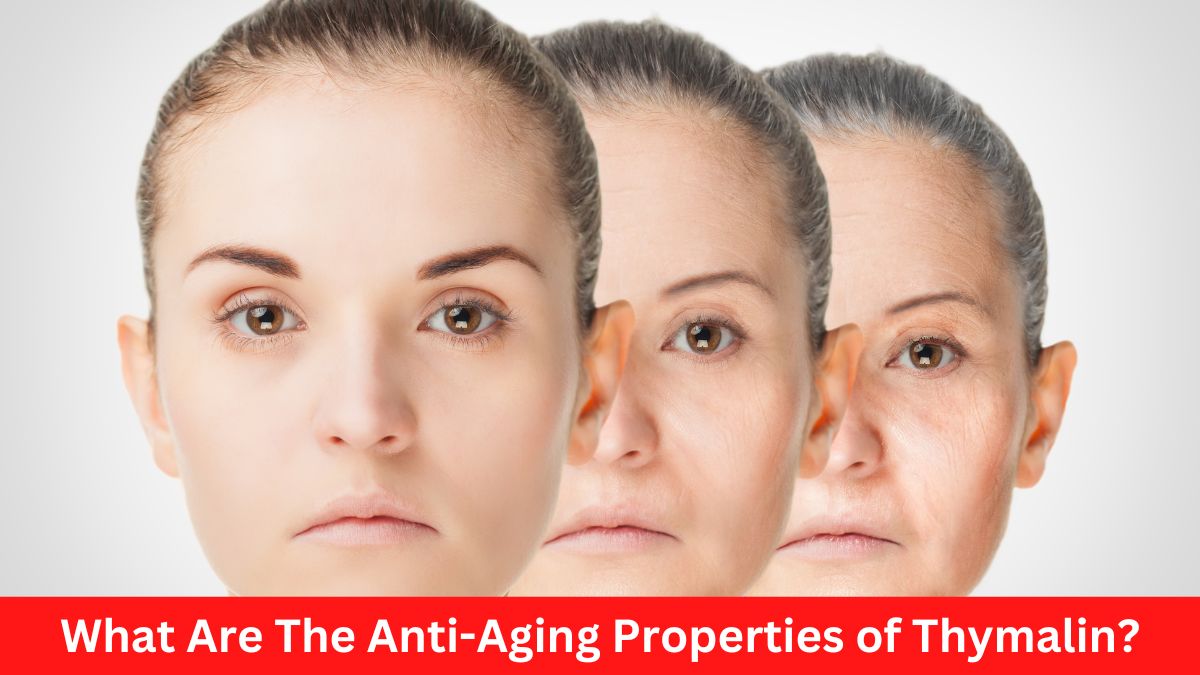 What Are The Anti-Aging Properties of Thymalin