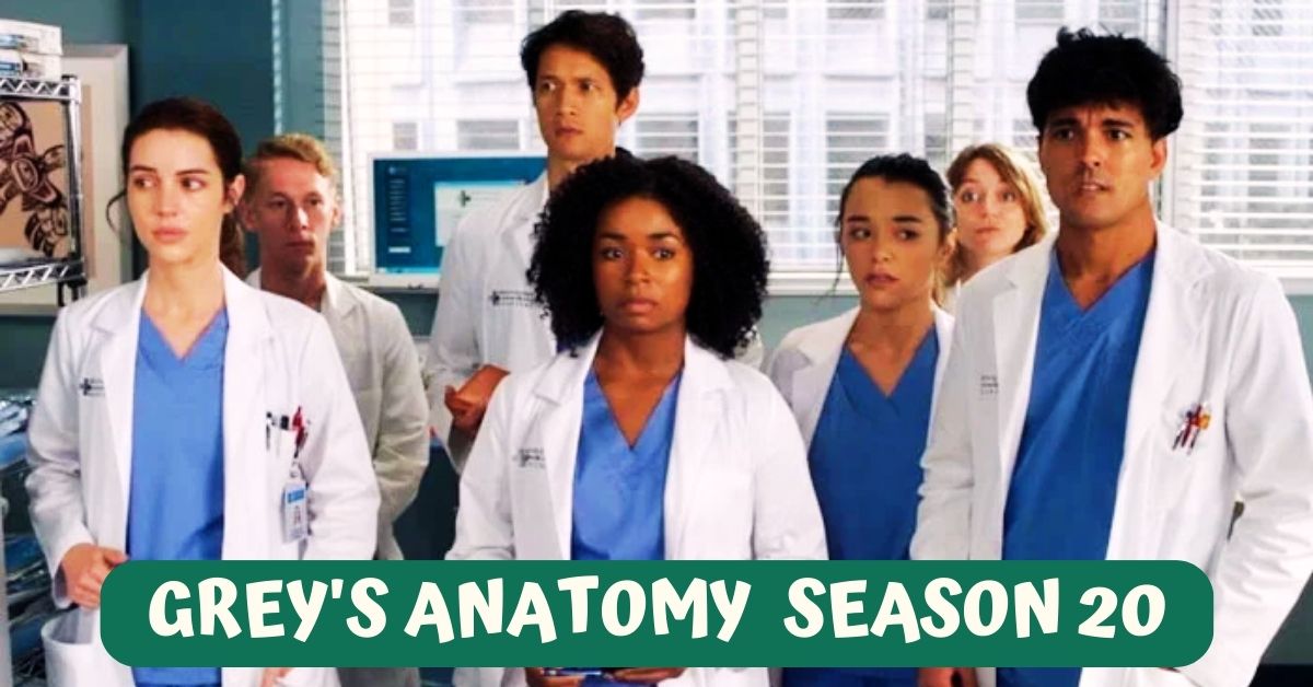 Grey's Anatomy Renewed for Season 20 