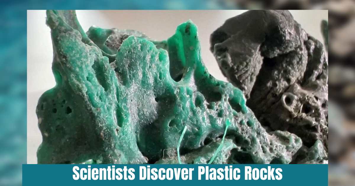 Scientists Discover Plastic Rocks