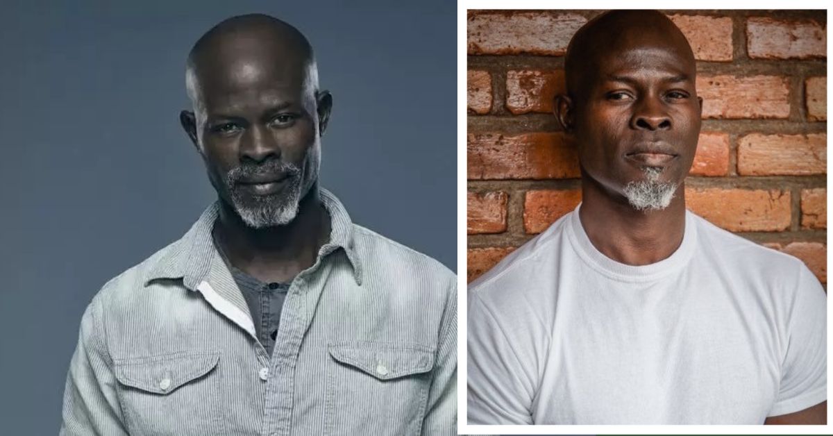 djimon hounsou net worth 