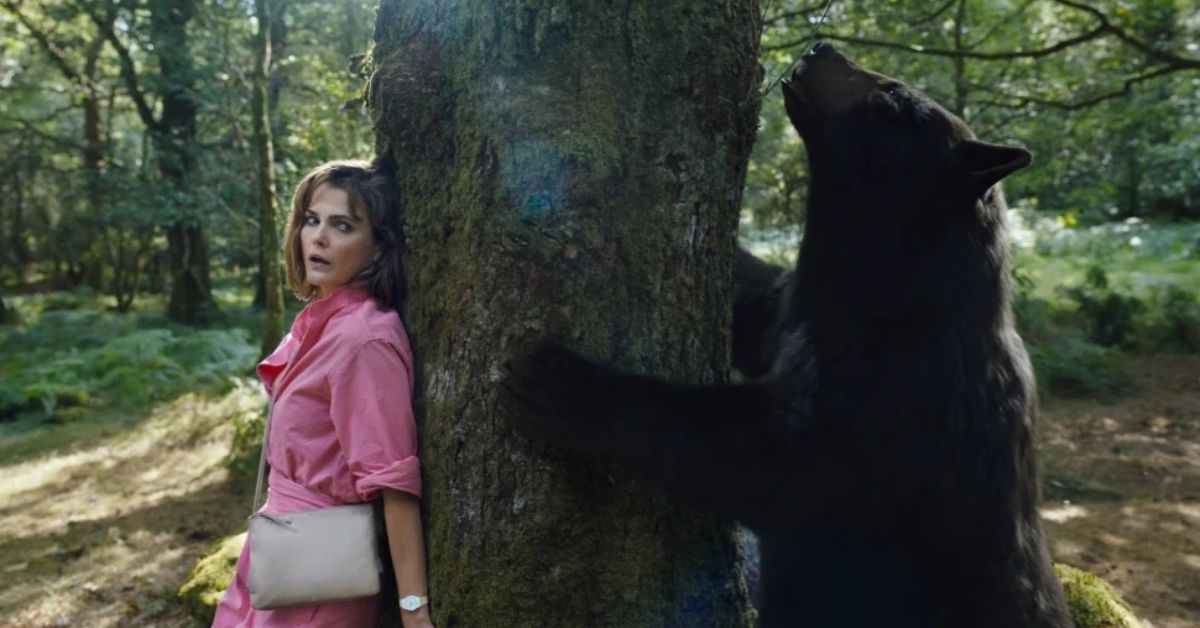 where to watch cocaine bear