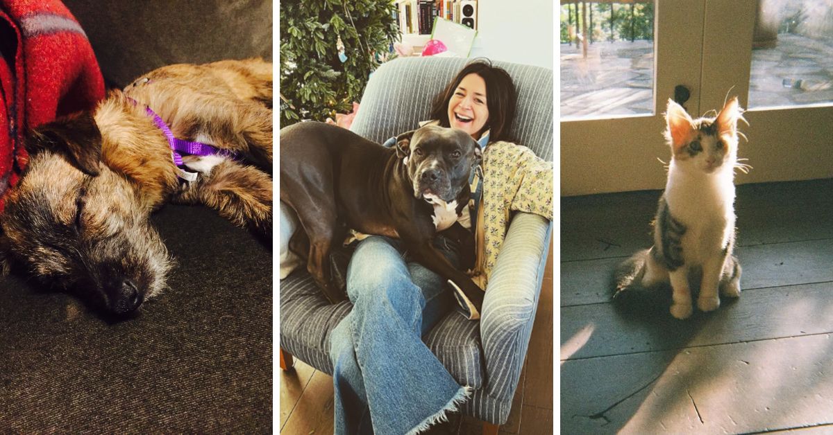 Caterina Scorsone Pets