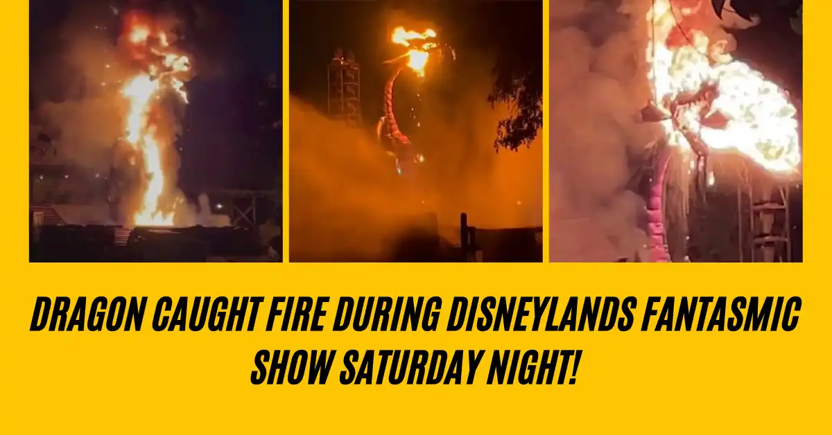 Dragon Caught Fire During Disneylands Fantasmic Show