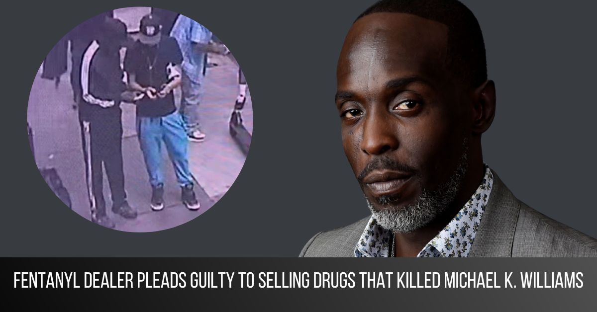 Dealer pleads guilty in Michael K. Williams death