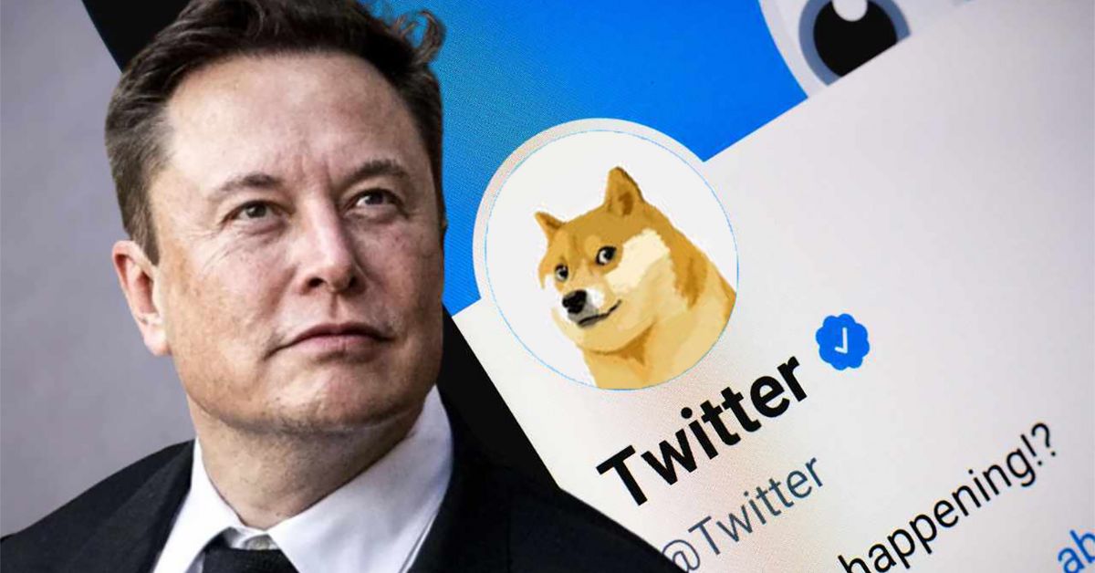 Why Did Elon Musk Change Twitters Logo to Dogecoin