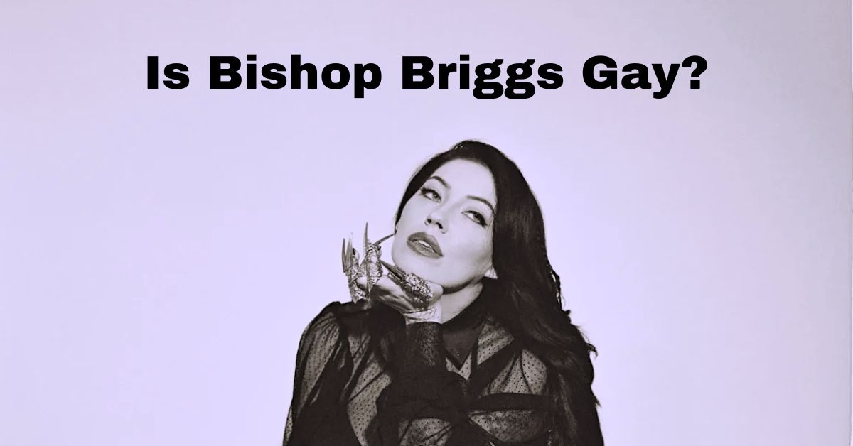 is bishop briggs gay