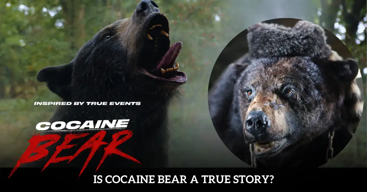 Is Cocaine Bear a True Story