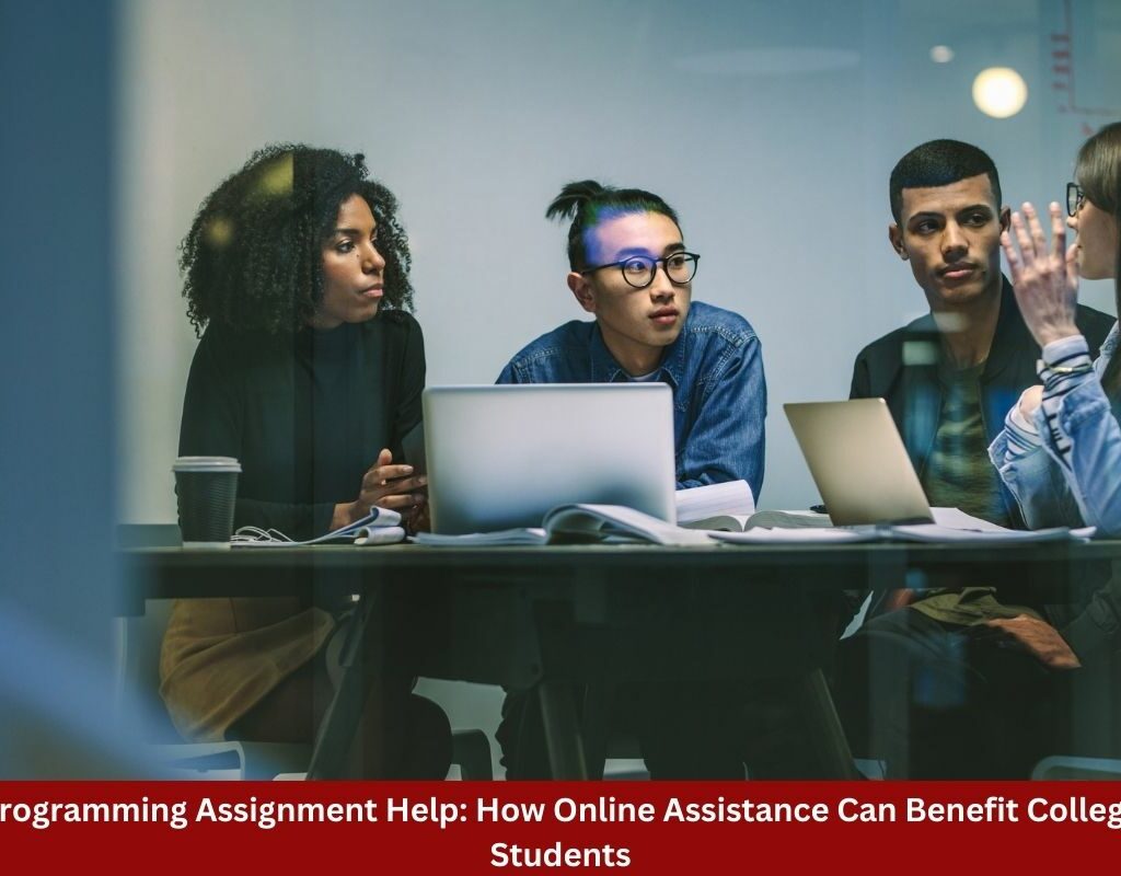 Programming Assignment Help: How Online Assistance Can Benefit College Students