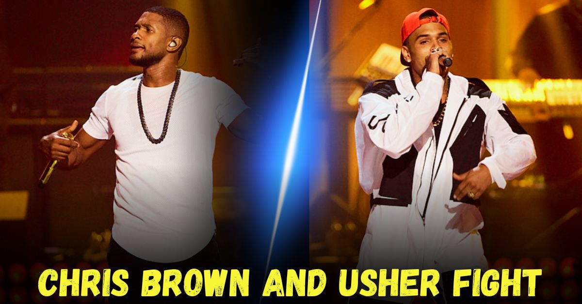 Singer Chris Brown fights Usher at birthday party