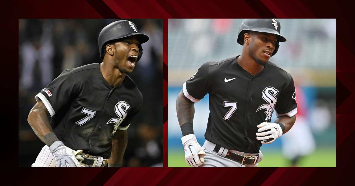 Tim Anderson Net Worth Unveiling His Impressive Fortune Lee Daily