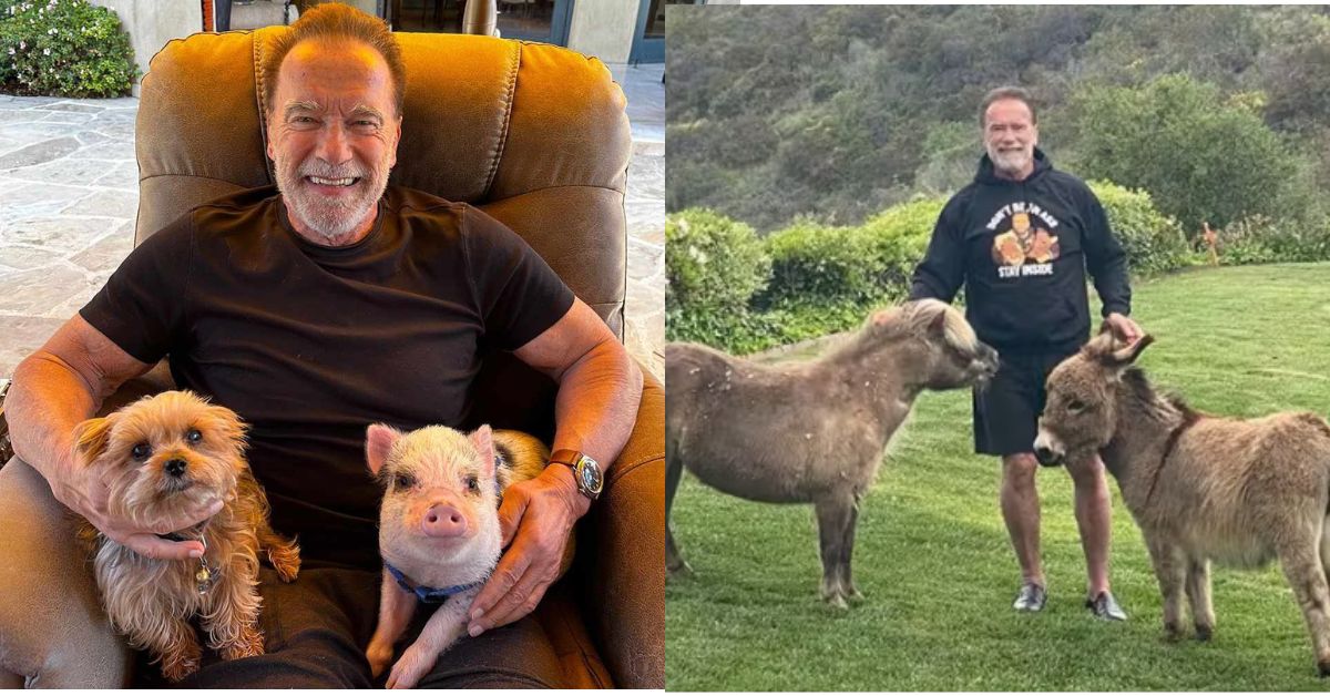 arnold schwarzenegger pets