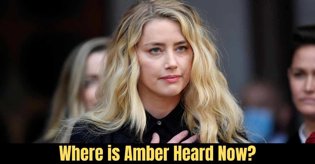 where is amber heard now