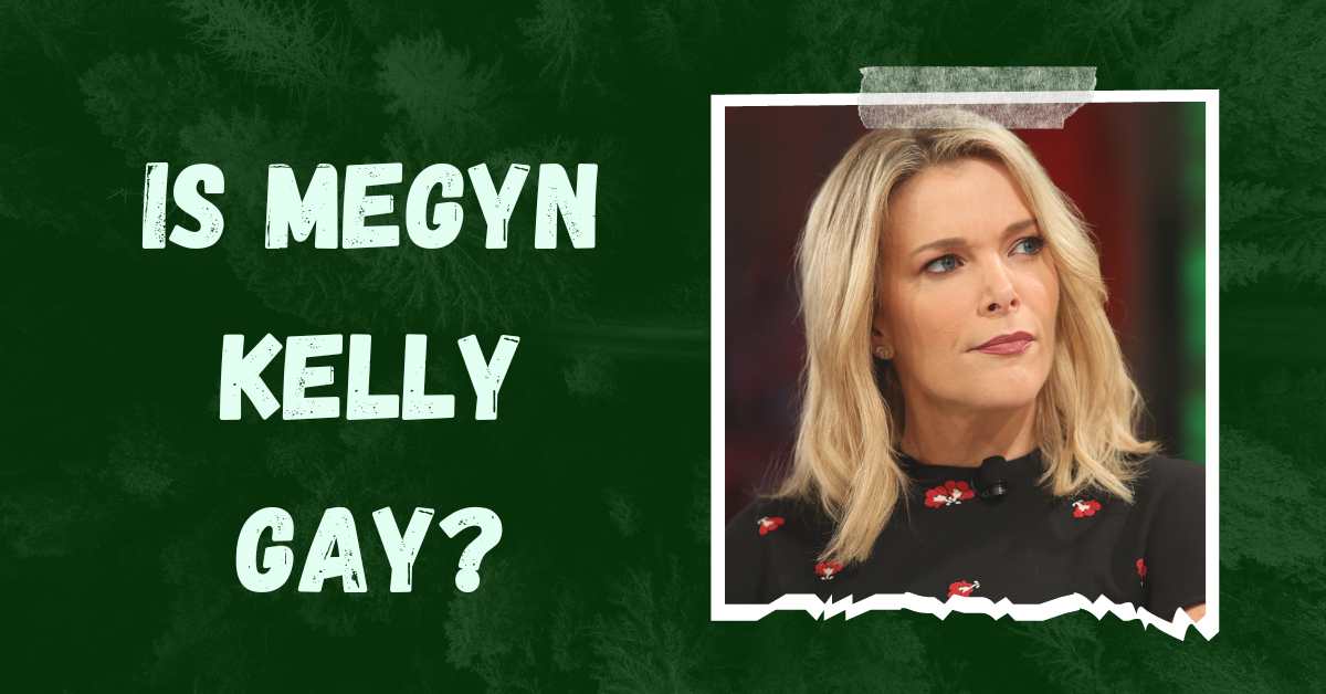 Is Megyn Kelly Gαy