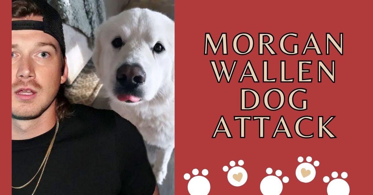 Morgan Wallen Dog Attack