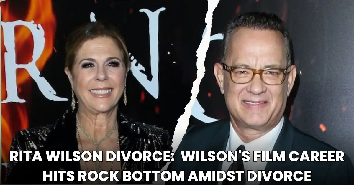 Rita Wilson Divorce Wilson's Film Career Hits Rock Bottom Amidst Divorce