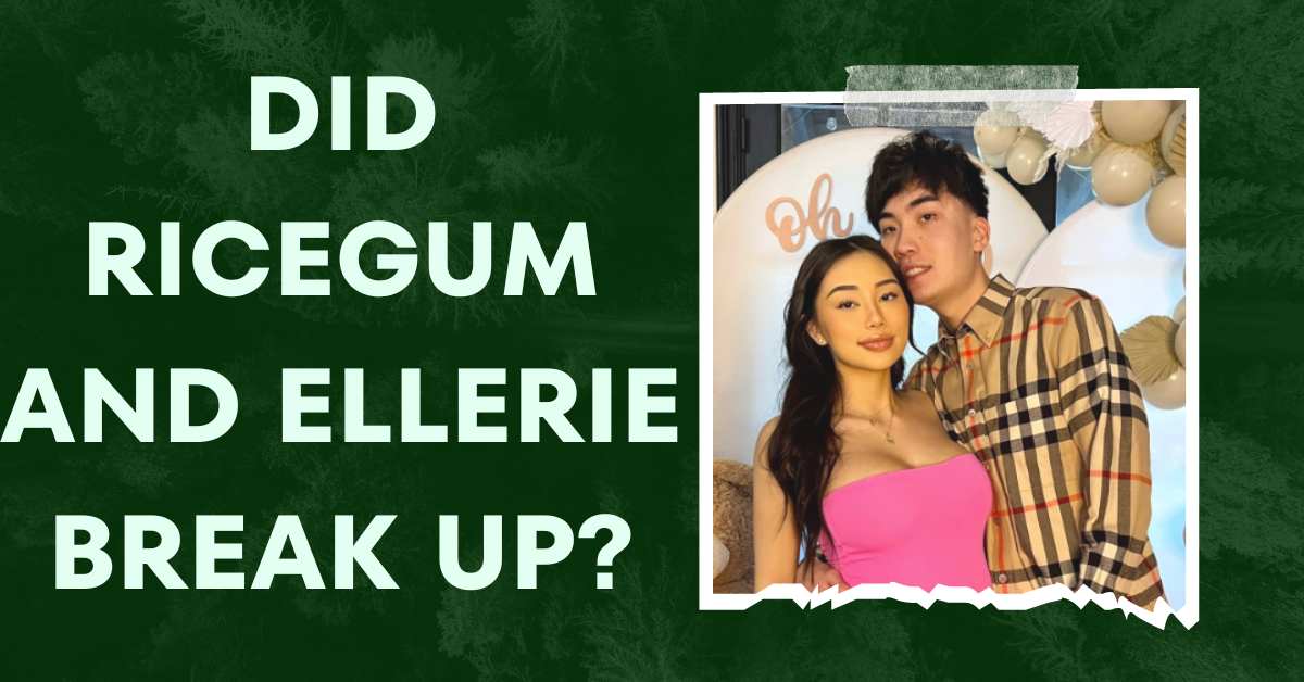 Did Ricegum and Ellerie Break Up